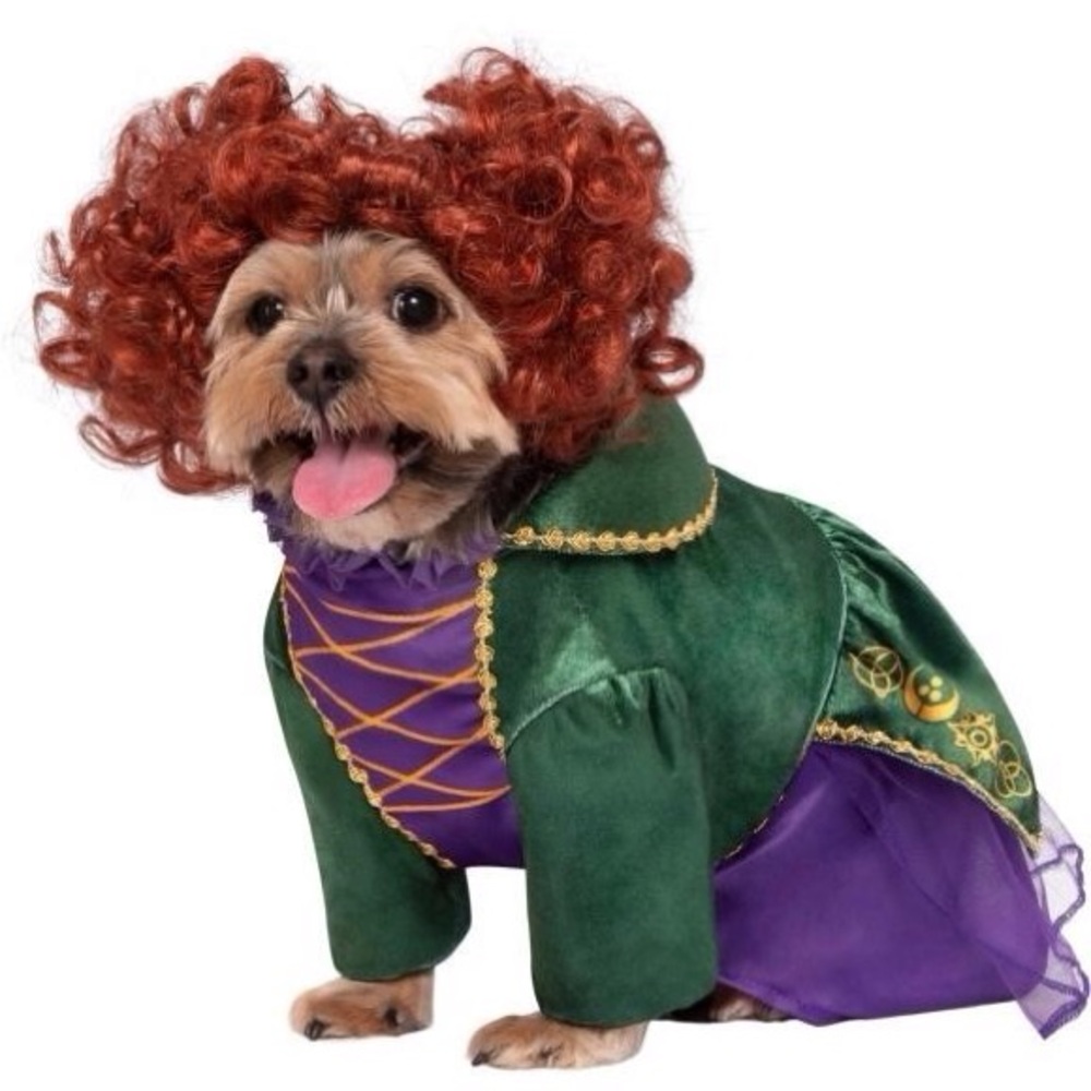 Disney Hocus Pocus: Winifred Sanderson Pet Costume for for Dogs or Cats